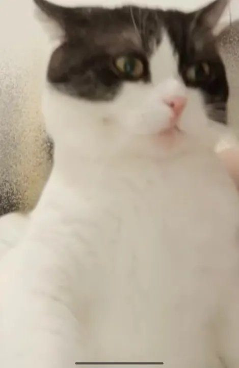 凑近看看我