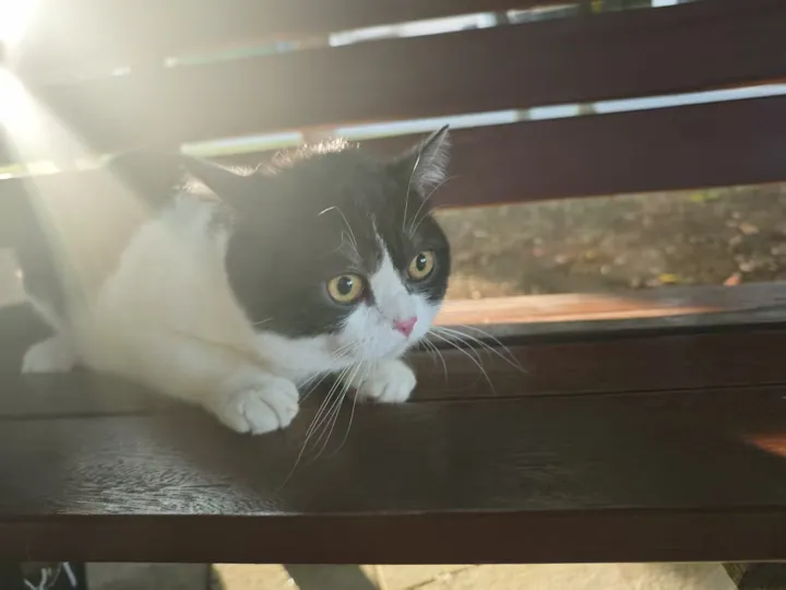 我在窗边晒太阳