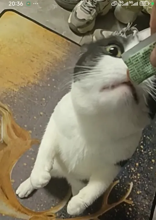 我凑近看看