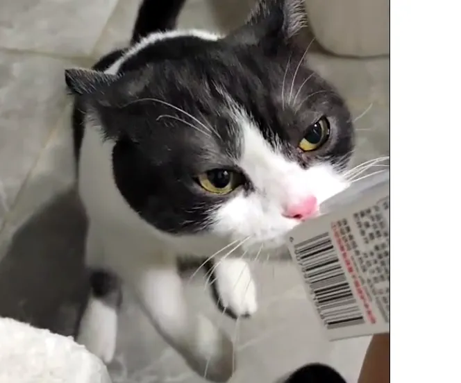 我往这边看看