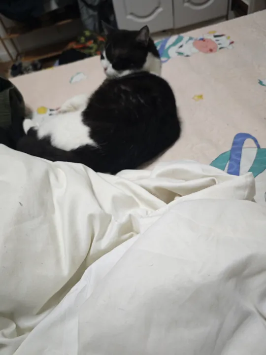我在床上团着