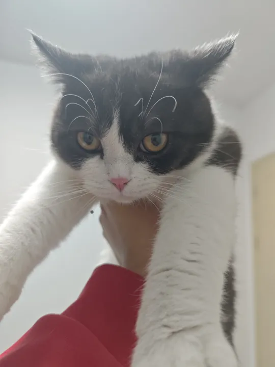 抱我起来看看
