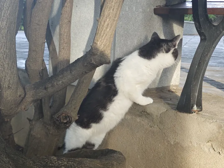 我看看窗外