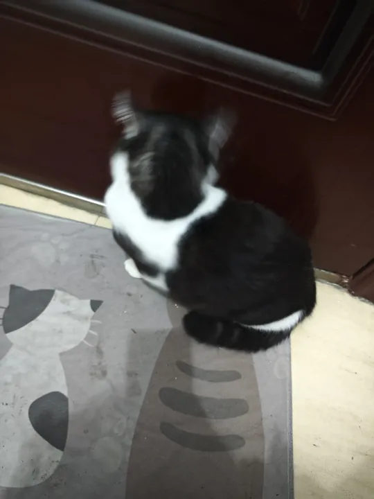 我回头看一眼