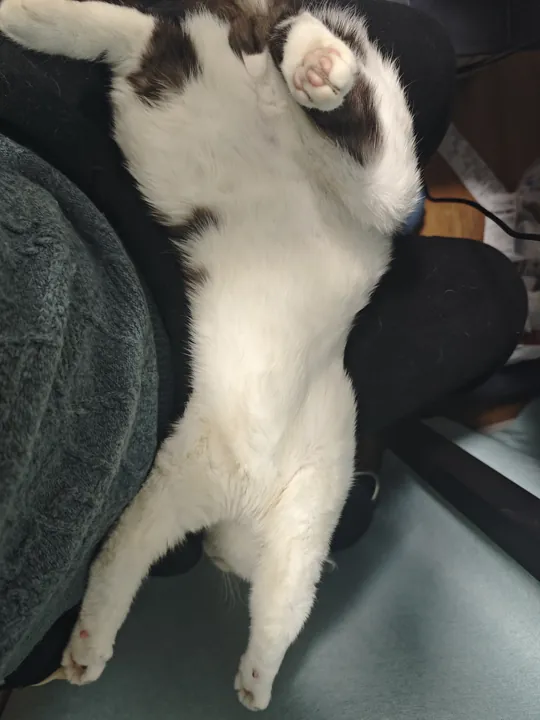 我伸个懒腰